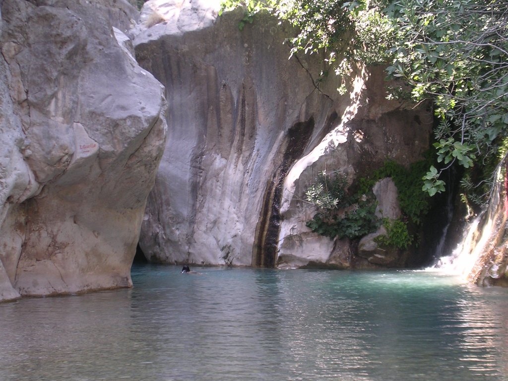 Jeep Safari & Kanyon
