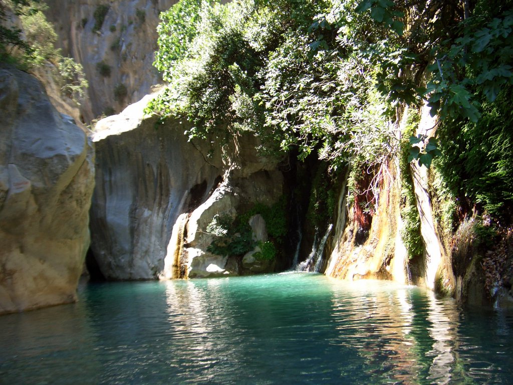 Jeep Safari & Kanyon
